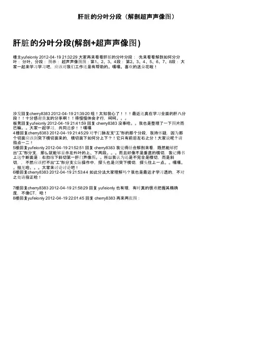 肝脏的分叶分段（解剖超声声像图）