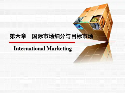 第六章  国际市场细分、目标市场选择