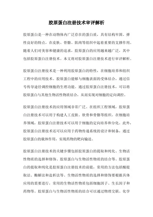 胶原蛋白注册技术审评解析