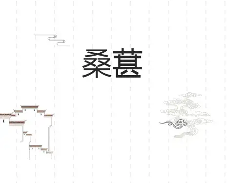 桑葚介绍课件