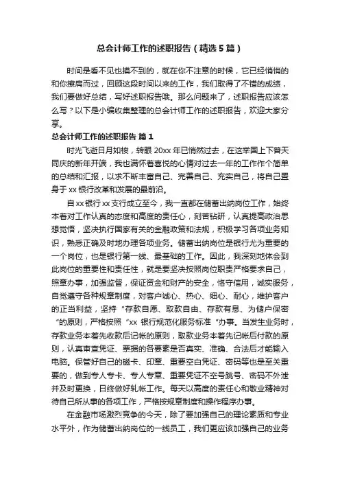 总会计师工作的述职报告（精选5篇）
