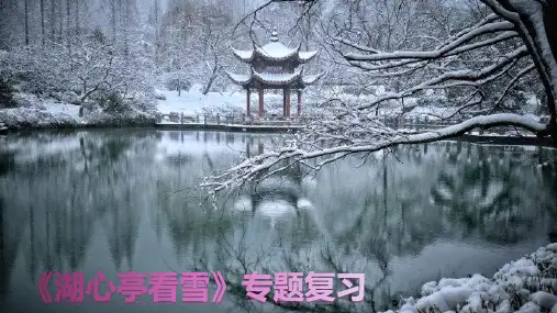 《湖心亭看雪》专题复习课件