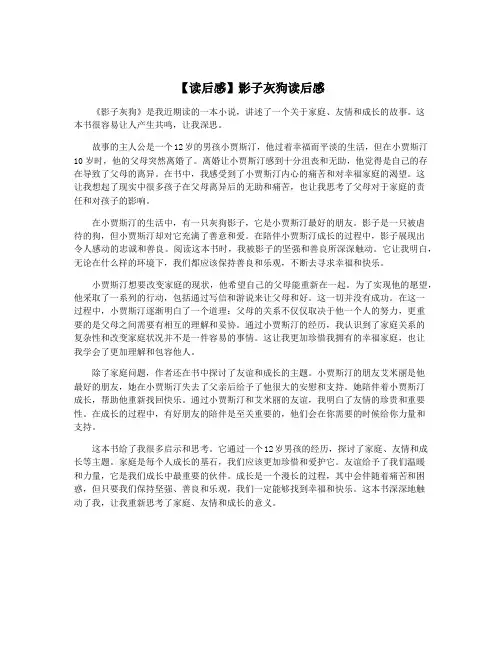 【读后感】影子灰狗读后感