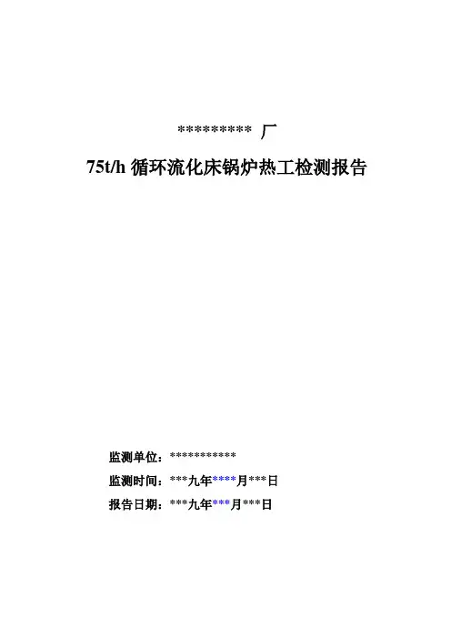 循环流化床锅炉热工检测报告