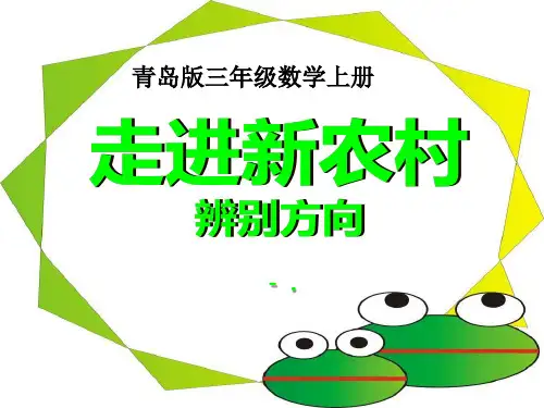 《走进新农村》PPT课件2