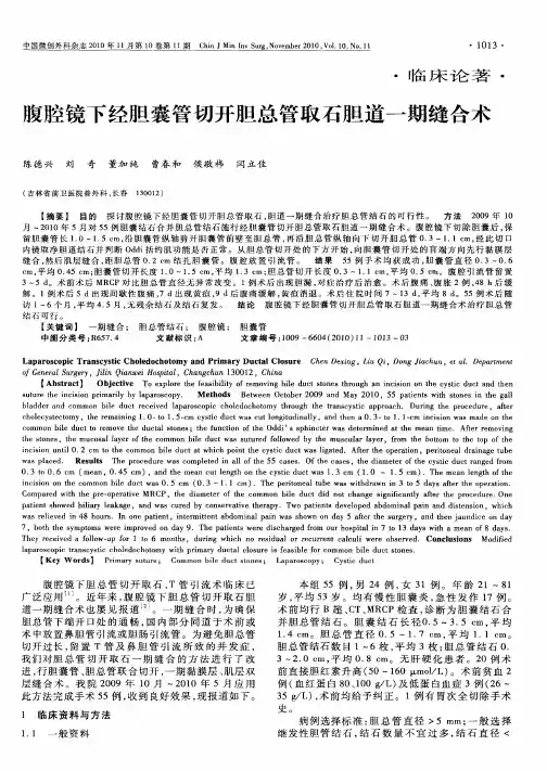 腹腔镜下经胆囊管切开胆总管取石胆道一期缝合术