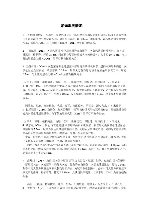 地层描述