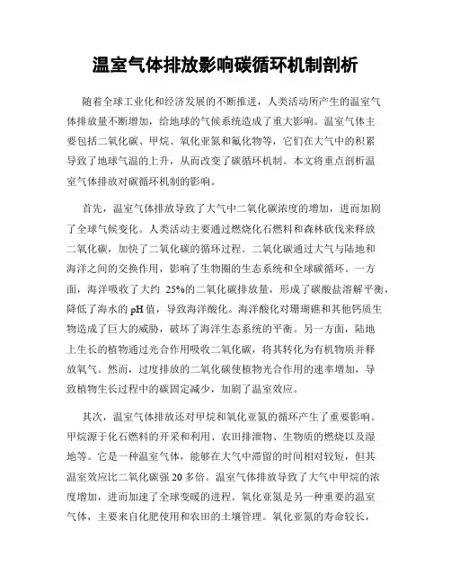 温室气体排放影响碳循环机制剖析