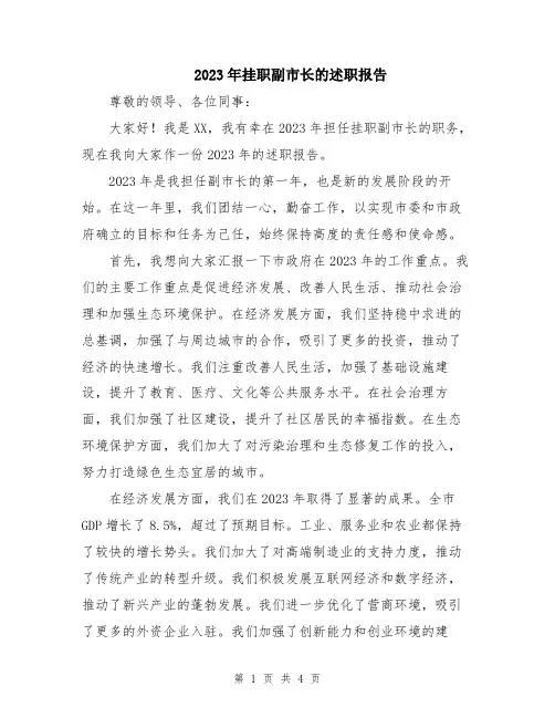 2023年挂职副市长的述职报告