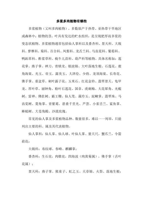 多浆多肉植物有哪些