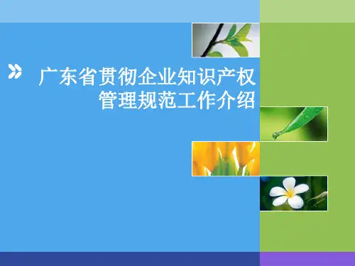 知识产权贯标PPT课件