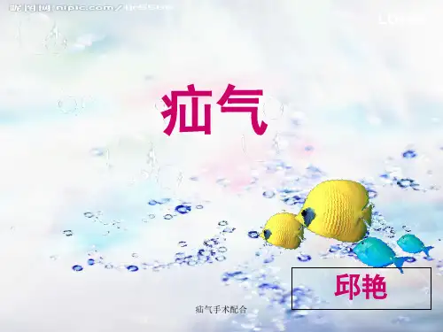 疝气手术配合 ppt课件