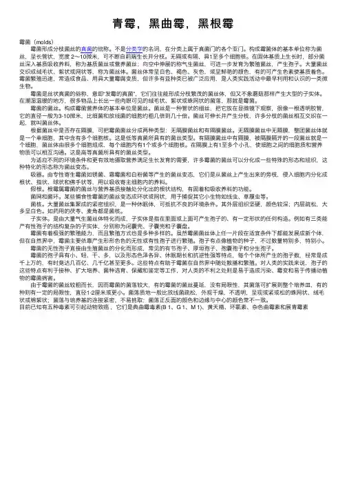 青霉，黑曲霉，黑根霉
