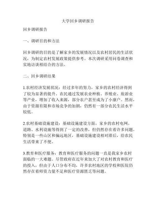 大学回乡调研报告