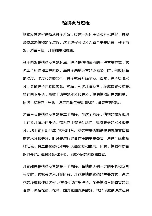 植物发育过程