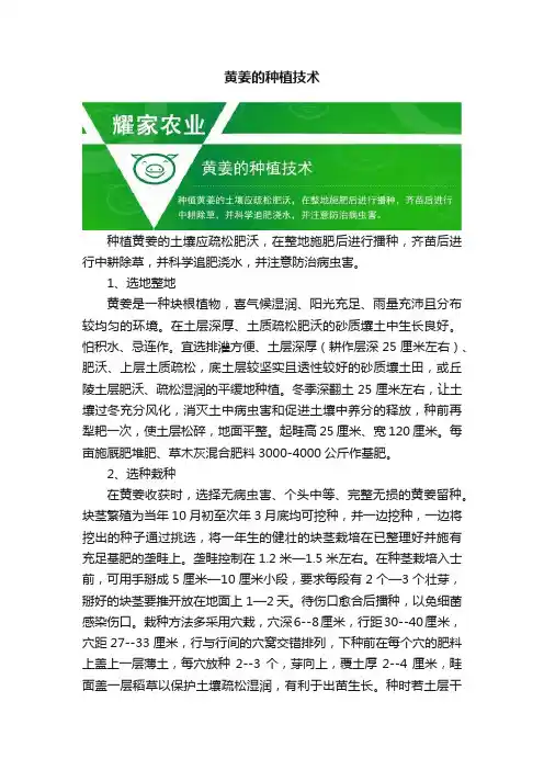 黄姜的种植技术