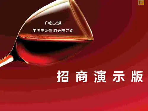 葡萄酒业招商策划PPT