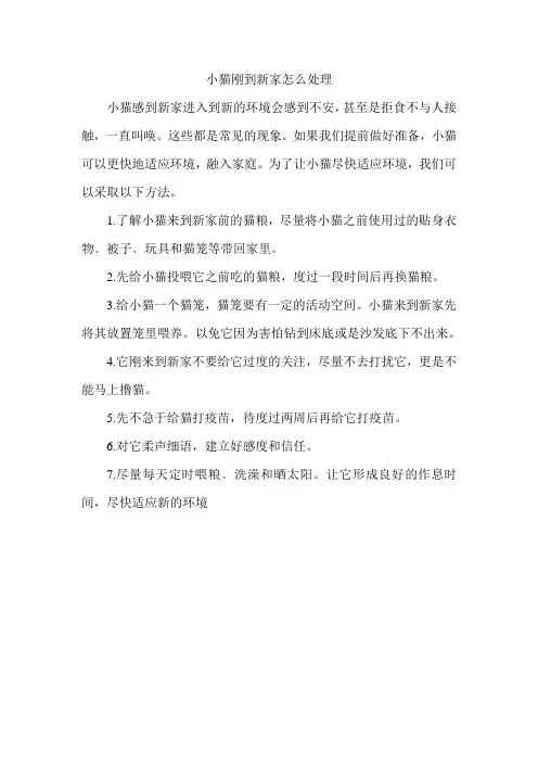 小猫刚到新家怎么处理