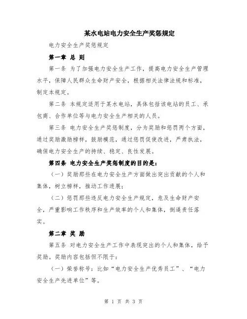 某水电站电力安全生产奖惩规定