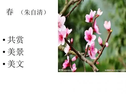 《春》、《济南的冬天》解析