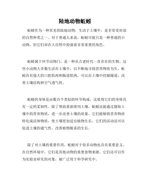 陆地动物蚯蚓