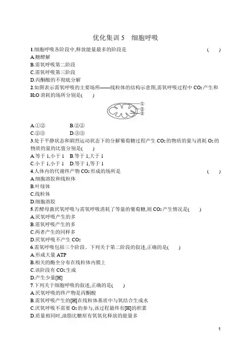 2024年高考生物总复习考点培优训练——细胞呼吸