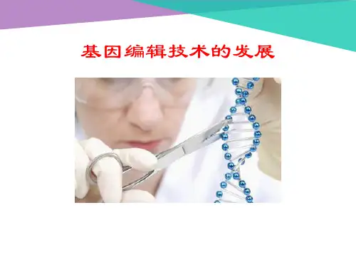 基因编辑技术 PPT课件