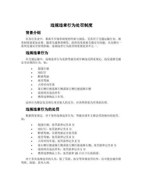 违规违章行为处罚制度