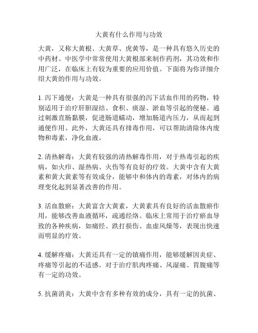 大黄有什么作用与功效