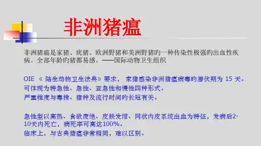 临床病理解剖学非洲猪瘟