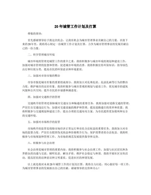 20年城管工作计划及打算