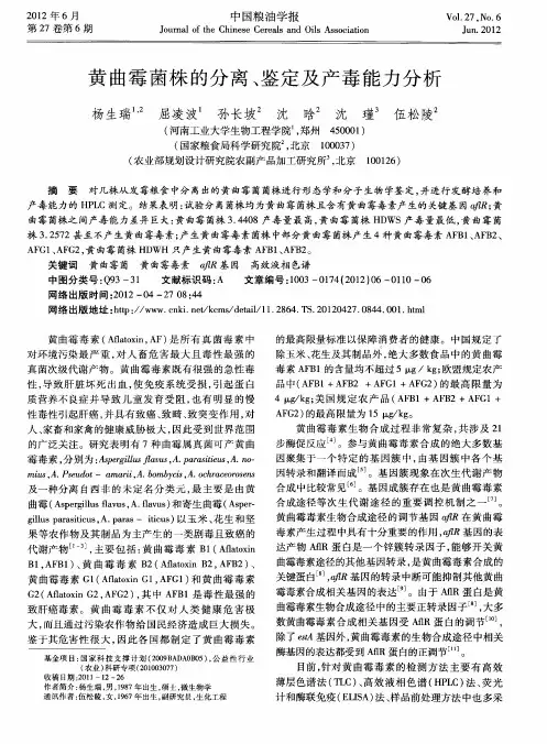 黄曲霉菌株的分离、鉴定及产毒能力分析