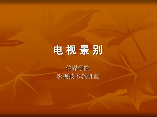 电视景别