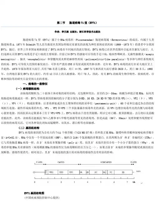 肠道病毒71型简介