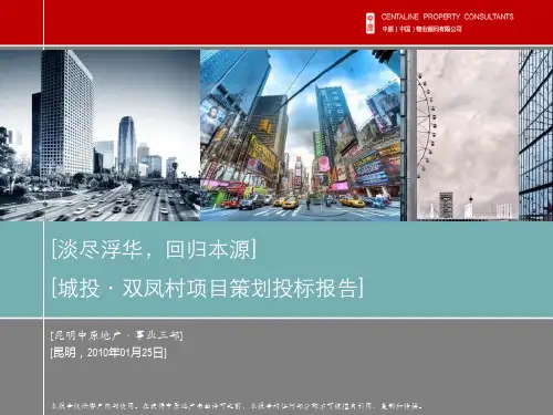 某房地产项目策划竞标报告