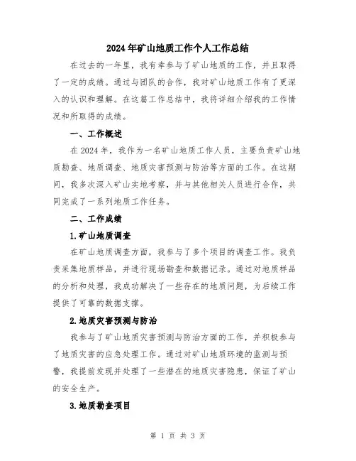 2024年矿山地质工作个人工作总结