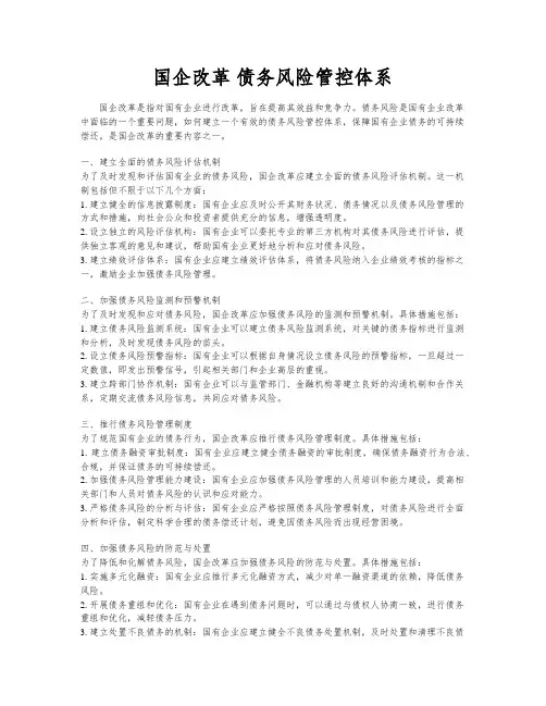 国企改革 债务风险管控体系