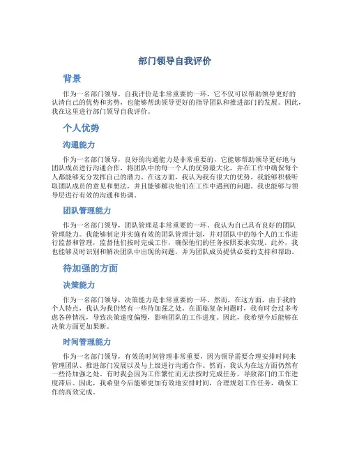 部门领导自我评价