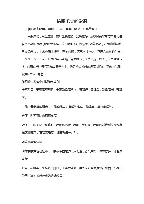 信阳毛尖的常识
