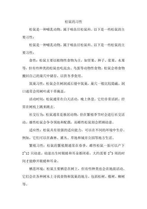 松鼠的习性