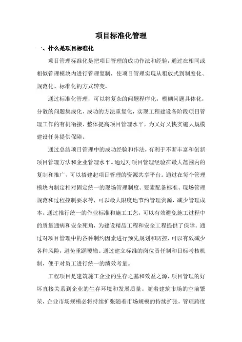 项目标准化管理