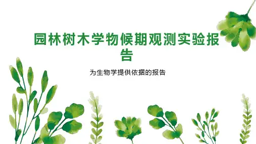 园林树木学物候期观测实验报告