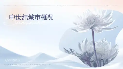 中世纪城市概况