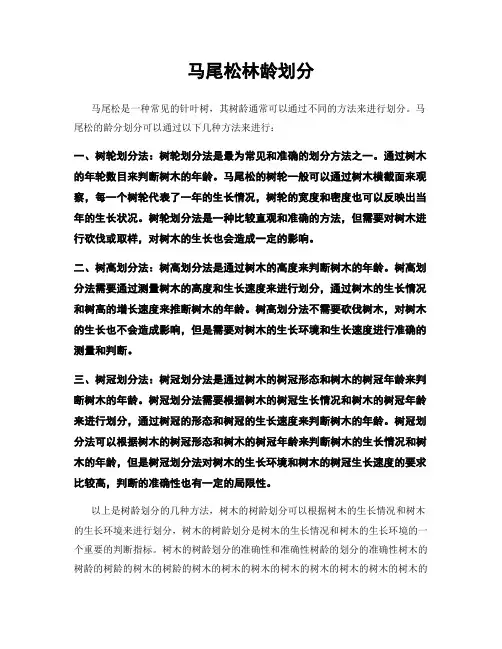 马尾松林龄划分