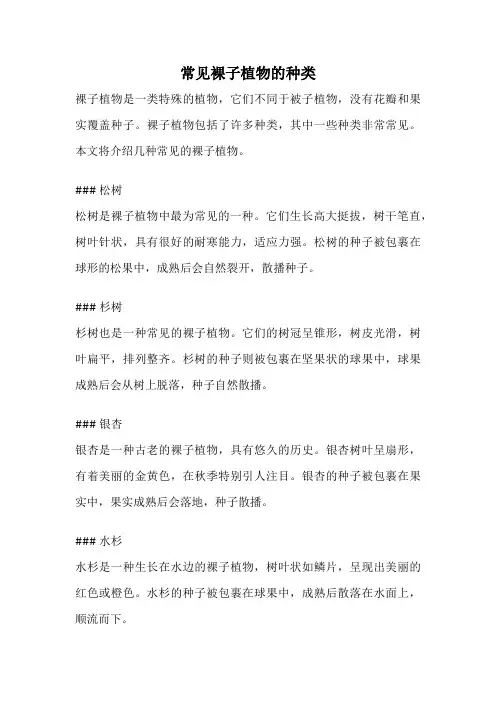 常见裸子植物的种类