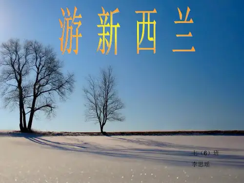 新西兰