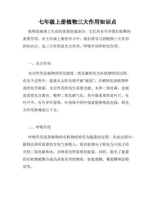 七年级上册植物三大作用知识点