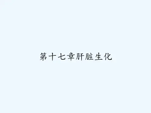 第十七章肝脏生化 PPT