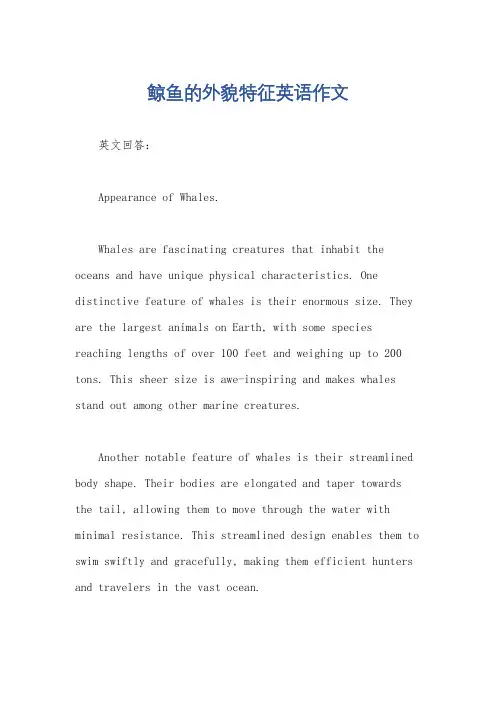鲸鱼的外貌特征英语作文