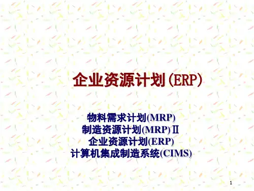 企业资源计划(ERP